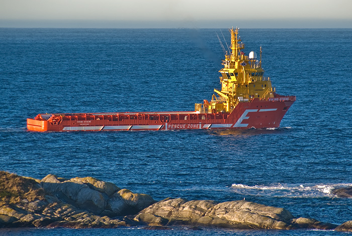 20090131_1119_viking_athene.jpg
